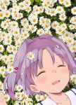  1girl bangs closed_eyes commentary daisy drooling eyebrows_visible_through_hair face flower flower_bed from_above hair_intakes hair_ornament hairpin idolmaster idolmaster_cinderella_girls kirarin369 koshimizu_sachiko lying on_back on_ground outdoors petals purple_hair short_hair sleeping solo 