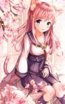  1girl animal_ears blue_eyes blue_hakama blue_legwear blue_sailor_collar blurry blurry_foreground blush breasts cat_ears cat_tail collarbone commentary_request day depth_of_field fingernails flower green_eyes hair_flower hair_ornament hairpin hakama heterochromia highres japanese_clothes kneehighs long_hair long_sleeves looking_at_viewer medium_breasts original outdoors parted_lips pink_flower pink_hair sailor_collar sakura_ani school_uniform serafuku shirt sitting solo tail very_long_hair white_shirt 