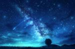  blue_sky commentary_request czy_(2894456992) galaxy highres milky_way night night_sky no_humans original outdoors scenery shooting_star sky star_(sky) starry_sky tree 