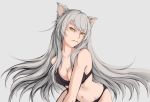  1girl animal_ears black_bra black_hanekawa black_panties bra breasts cat_ears cleavage commentary_request hanekawa_tsubasa highres large_breasts long_hair midriff monogatari_(series) navel panties shibanme_tekikumo silver_hair slit_pupils solo underwear underwear_only very_long_hair yellow_eyes 