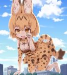  1girl :d animal_ears animal_print bangs bare_shoulders belt black_belt blue_sky blurry bow bowtie breasts building clouds day depth_of_field eyebrows eyebrows_visible_through_hair eyelashes fang giantess gloves hair_between_eyes hand_up high-waist_skirt kemono_friends kolshica medium_breasts multicolored multicolored_bow multicolored_clothes multicolored_gloves multicolored_hair multicolored_legwear multicolored_neckwear multicolored_skirt open_mouth orange_bow orange_eyes orange_gloves orange_hair orange_legwear orange_neckwear orange_skirt outdoors paw_pose serval_(kemono_friends) serval_ears serval_print serval_tail shirt short_hair skirt sky sleeveless sleeveless_shirt smile solo striped_tail tail thigh-highs tree white_bow white_gloves white_legwear white_neckwear white_shirt zettai_ryouiki 