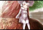  1girl absurdres blonde_hair commentary frame fur_collar gloves grey_coat grey_hair head_wings highres in_tree kemono_friends long_sleeves looking_at_viewer multicolored_hair northern_white-faced_owl_(kemono_friends) pantyhose short_hair sitting sitting_in_tree solo tail_feathers tamiku_(shisyamo609) tree white_hair white_legwear yellow_eyes yellow_gloves 