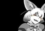 1girl animal_ears bow bowtie brown_eyes commentary evil_smile fennec_(kemono_friends) fox_ears greyscale half-closed_eyes halftone kaya_(nari1-24) kemono_friends looking_at_viewer monochrome open_mouth portrait shirt short_hair smile solo spot_color 