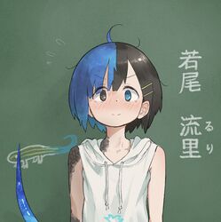  1girl black_eyes black_hair blue_eyes blue_hair blush chalkboard chalkboard_sign closed_mouth commentary_request dot_nose flying_sweatdrops grey_hoodie hair_ornament hairclip heterochromia highres hood hood_down hoodie japanese_skink japanese_skink_(kamemaru) kamemaru lizard_tail looking_at_viewer monster_girl multicolored_hair nervous_smile nose_blush original scales short_hair sleeveless sleeveless_hoodie smile solo tail translated two-tone_hair 