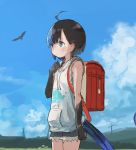  1girl backpack bag bird black_eyes black_hair blue_eyes blue_hair blue_sky closed_mouth clouds commentary_request cowboy_shot day from_side grey_hoodie hair_ornament hairclip hand_up highres hood hood_down hoodie japanese_skink_(kamemaru) kamemaru monster_girl multicolored_hair original outdoors randoseru scales short_hair short_shorts shorts sky sleeveless sleeveless_hoodie solo standing tail two-tone_hair 