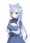  1girl animal_ears blue_eyes blue_hair breasts crossed_arms deviantart_sample dress image_sample meme_attire open-chest_sweater original replaceme runastark sweater 