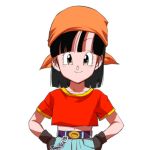  1girl ^_^ animated animated_gif belt black_eyes black_hair blush chains closed_eyes denim dragon_ball dragon_ball_gt frown gloves hands_on_hips head_scarf jeans looking_at_viewer lowres navel ochanoko_(get9-sac) open_mouth pan_(dragon_ball) pants red_shirt shaded_face shirt simple_background smile solo_focus ugoira upper_body white_background 