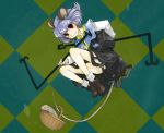  bad_id basket mouse mouse_ears mouse_tail nazrin tail touhou 