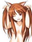   animal_ears brown_eyes brown_hair fang holo spice_and_wolf tagme wolf_ears  
