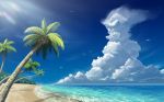  beach bird blue_sky clouds coconut coconut_tree commentary_request day horizon no_humans nokiya ocean original palm_tree sand scenery seagull shadow sky summer tree 