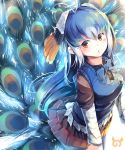  1girl absurdres antenna_hair blue_hair blue_neckwear blush bow bowtie commentary eyebrows_visible_through_hair hair_between_eyes head_wings highres japari_symbol kanzakietc kemono_friends long_hair looking_at_viewer multicolored_hair open_mouth orange_eyes peacock_feathers peafowl_(kemono_friends) pleated_skirt skirt solo white_hair 