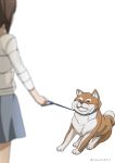  1girl blue_skirt blurry blurry_foreground brown_hair casual collar commentary_request depth_of_field dog girls_und_panzer leash long_sleeves miniskirt nishizumi_maho resisting shiba_inu shibagami shirt simple_background skirt solo standing striped striped_shirt twitter_username white_background white_shirt 