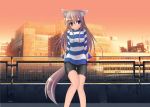  1girl animal_ears building fence highres mizunoe_kotaru pink_hair shorts solo striped striped_sweater sweater tail violet_eyes 