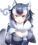  1girl :d absurdres animal_ears black_hair blonde_hair blue_eyes breasts commentary fang fur_collar grey_wolf_(kemono_friends) hair_between_eyes highres japari_symbol kanzakietc kemono_friends large_breasts looking_at_viewer multicolored_hair necktie open_mouth plaid_neckwear simple_background smile solo tail two-tone_hair upper_body white_background wolf_ears wolf_tail 