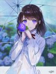  1girl bangs blurry blurry_background blush bra_through_clothes breasts brown_hair closed_mouth collared_shirt depth_of_field eyebrows_visible_through_hair flower gloves hands_up holding holding_flower holding_umbrella hydrangea long_hair long_sleeves looking_at_viewer medium_breasts original purple_gloves rain revision sanbasou school_uniform see-through shirt signature smile solo transparent transparent_umbrella umbrella violet_eyes wet wet_clothes wet_shirt white_shirt 
