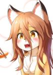  1girl animal_ears blush breasts brown_hair chopsticks commentary_request fangs feeding fox_ears fox_girl furry hair_between_eyes highres kyabe_tsuka light_brown_eyes long_hair nude open_mouth original slit_pupils small_breasts solo 