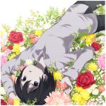  1girl :o absurdres androgynous arms_up black_eyes black_hair black_pants collared_shirt commentary_request dress_shirt eyebrows_visible_through_hair flower grey_shirt hair_between_eyes highres kino kino_no_tabi long_sleeves looking_at_viewer lying open_mouth pants partial_commentary red_flower red_rose rose sakurano_itsuki shirt short_hair solo tomboy upside-down white_border 