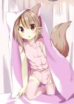 1girl :o absurdres animal_ears bed bed_sheet brown_hair chaakusu ear_piercing fennery fox_ears fox_tail highres indoors nurse piercing red_eyes short_hair show_by_rock!! tail thigh-highs under_covers zettai_ryouiki 
