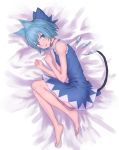  1girl :p animal_ears ass bare_arms bare_shoulders barefoot blue_bow blue_dress blue_eyes blue_hair blue_wings bow cat_ears cat_tail choker cirno clenched_hands commentary_request dress full_body hair_between_eyes hair_bow ice ice_wings kemonomimi_mode looking_at_viewer lying on_side red_choker roke_(taikodon) short_dress short_hair sleeveless sleeveless_dress smile solo tail tongue tongue_out touhou wings 