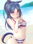  1girl animal_ears beach bikini blue_eyes blurry blurry_background blush breasts cleavage clenched_hands closed_mouth eyebrows_visible_through_hair halterneck hands_on_own_chest highres horse_ears horse_tail kemonomimi_mode long_hair love_live! love_live!_sunshine!! matsuura_kanan midriff navel ocean omoi_seiji ponytail sidelocks solo striped striped_bikini swimsuit tail tearing_up umamusume violet_eyes wavy_mouth 