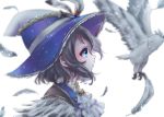  1girl animal ascot bangs bird blue_eyes blue_hat feathers from_side grey_hair hat hat_feather love_live! love_live!_school_idol_festival love_live!_sunshine!! owl profile short_hair solo upper_body watanabe_you white_background white_feathers white_neckwear witch_hat wosusi 