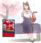  1girl animal_ears brooch brown_hair cherry_blossoms dango dress eating food hanafuda holding holding_food holding_tray imaizumi_kagerou jewelry long_dress long_hair long_sleeves red_eyes sandals sitting socks solo touhou tray uisu_(noguchipint) wagashi white_legwear wide_sleeves wolf_ears 