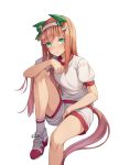  1girl animal_ears between_legs blush brown_hair elbow_on_knee green_eyes gym_uniform hair_ornament hairband hand_between_legs highres horse_ears horse_girl horse_tail knee_up light_blush light_frown long_hair looking_at_viewer mokew shoes short_sleeves shorts silence_suzuka simple_background sitting sneakers socks solo tail umamusume white_background 