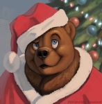  animal bear blue_eyes christmas christmas_tree clothed_animal commentary commission deviantart_username english_commentary hat looking_up no_humans original santa_hat solo twarda8 