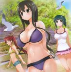  3girls arms_behind_back bangs bare_arms bare_shoulders bikini bird black_hair blunt_bangs blush breasts cleavage fence green_eyes green_hair green_shorts highres iwato_kasumi karijuku_tomoe large_breasts long_hair looking_at_viewer looking_away multiple_girls navel ponytail purple_bikini redhead saki seagull shorts sky swimsuit takimi_haru tree water 