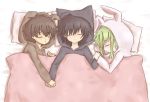  bad_id black_hair brown_hair bunny_ears c.c. cat_ears cc chibi closed_eyes code_geass dog_ears green_hair hand_holding holding_hands kururugi_suzaku lelouch_lamperouge rabbit_ears shacttainw sleeping super_deformed young 