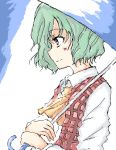  ascot bust green_hair kazami_yuuka lowres plaid_vest profile red_eyes short_hair touhou umbrella 