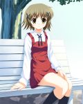  brown_hair hidamari_sketch odaya odayan school_uniform short_hair yuno 