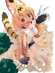  1girl :d alternate_costume blonde_hair boots bow bowtie breasts bush claw_(weapon) collarbone commentary_request detached_sleeves fang fur-trimmed_shorts highres kemono_friends looking_at_viewer makuran open_mouth serval_(kemono_friends) serval_print serval_tail short_hair short_shorts shorts smile solo tail weapon white_footwear 
