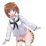  1girl :d a1 animal_ears breasts brown_eyes brown_hair cowboy_shot girls_und_panzer long_sleeves medium_breasts nishizumi_miho no_pants open_mouth outstretched_arms panties pink_panties sailor_collar sailor_shirt shirt short_hair simple_background smile solo tail tiger_ears tiger_tail underwear white_background 