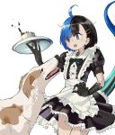  1girl :o alternate_costume apron black_dress black_eyes black_hair black_neckwear blue_eyes blue_hair bow bowtie claws commentary_request cup dog dog_request dress enmaided eyebrows_visible_through_hair hair_ornament hairclip heterochromia highres holding japanese_skink_(kamemaru) kamemaru looking_down maid maid_apron monster_girl multicolored_hair original puffy_short_sleeves puffy_sleeves scared short_hair short_sleeves spilling standing tail teacup tray two-tone_hair waist_apron white_apron 