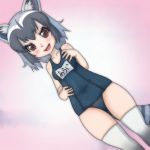  1girl alternate_costume animal_ears bare_arms bare_shoulders black_hair blush commentary_request common_raccoon_(kemono_friends) cowboy_shot eyebrows_visible_through_hair grey_hair kemono_friends multicolored_hair one-piece_swimsuit raccoon_ears raccoon_tail school_swimsuit short_hair solo swimsuit t_jiroo_(ringofriend) tail thigh-highs white_legwear 