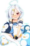  1girl ahoge azur_lane bandaid bandaid_on_face collarbone downes_(azur_lane) eyes_visible_through_hair fang hair_ornament hair_over_one_eye hairclip heterochromia indian_style looking_at_viewer nnyara open_mouth silver_hair sitting stuffed_animal stuffed_penguin stuffed_toy thigh-highs twitter_username white_legwear 