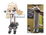  1girl :3 animal_ears blonde_hair blue_eyes blue_panties boots cat_ears collared_shirt commentary fang fanny_pack fingerless_gloves girls_frontline gloves green_footwear grey_gloves hair_ornament hairclip holding_person idw_(girls_frontline) lifting_person longcat meme necktie open_mouth panties ran_system shirt short_shorts shorts sleeves_rolled_up smile suspender_shorts suspenders tsurime twintails underwear v-shaped_eyebrows white_shirt 