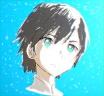  1boy bangs black_hair blue_background closed_mouth commentary_request darling_in_the_franxx eyebrows_visible_through_hair green_eyes hiro_(darling_in_the_franxx) male_focus rx25257357 short_hair solo 