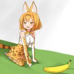  1girl :3 animal_ears banana bangs bare_shoulders blush bob_cut bow bowtie breasts brown_hair clenched_hands commentary_request elbow_gloves eyebrows_visible_through_hair fangs food from_side fruit gloves half-closed_eyes high-waist_skirt kemono_friends large_breasts looking_to_the_side meme multicolored_hair open_mouth orange_eyes orange_gloves orange_hair orange_legwear orange_neckwear orange_skirt parody photo-referenced print_gloves print_legwear print_neckwear print_skirt real_life seiza serval_(kemono_friends) serval_ears serval_girl serval_print serval_tail setia_pradipta shirt short_hair sitting skirt sleeveless sleeveless_shirt solo streaked_hair tail thigh-highs two-tone_hair v-shaped_eyebrows white_footwear white_shirt 