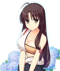  1girl bandeau black_hair black_skirt breasts brown_eyes brown_hair cleavage flower hadanugi_dousa hydrangea kantai_collection katagiri_chisato large_breasts long_hair low-tied_long_hair pleated_skirt shouhou_(kantai_collection) skirt solo yellow_eyes 