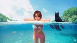  1girl bare_arms bare_shoulders beach bikini bird black_cat blue_eyes bracelet breasts brown_hair cat clouds fish grey_eyes hair_over_one_eye jewelry leaning_on_object lips long_hair looking_at_viewer navel ocean one_eye_closed original ross_tran sky small_breasts smile standing surfboard swimsuit tropical tropical_fish underwater upper_body water 