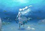  1girl animal anklet aqua_(fire_emblem_if) ass azura_(fire_emblem) back barefoot blue_hair bubble cute fingerless_gloves fire_emblem fire_emblem_14 fire_emblem_fates fire_emblem_if fish girl gloves human intelligent_systems jewelry long_hair nintendo panties robaco sea_creature simple_background solo turtle underwater underwear veil water whale 