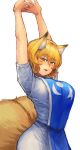  1girl adapted_costume alternate_eye_color animal_ears arms_up blonde_hair blush breasts brown_eyes chanta_(ayatakaoisii) cowboy_shot dress eyebrows_visible_through_hair fox_ears fox_tail from_side highres large_breasts looking_at_viewer looking_to_the_side multiple_tails no_hat no_headwear nose_blush open_mouth shiny shiny_hair short_dress short_sleeves simple_background smile stretch tabard tail touhou white_background yakumo_ran 