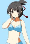  1girl belly_button bikini bikini_day bikini_skirt black_hair blue_background blue_bikini blush brown_eyes goto_(pixiv_id_11555787) kimi_no_na_wa looking_at_viewer miyamizu_mitsuha navel ponytail ribbon solo toho_corp. 