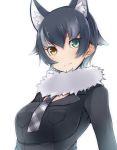 1girl alternate_hair_length alternate_hairstyle amai_nekuta animal_ears bangs black_shirt brown_eyes closed_mouth collared_shirt commentary_request eyebrows_visible_through_hair fur_collar green_eyes grey_hair grey_wolf_(kemono_friends) heterochromia kemono_friends long_sleeves looking_at_viewer necktie plaid_neckwear shirt short_hair simple_background smile solo upper_body white_background wolf_ears 