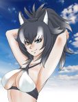  1girl animal_ears armpits breasts clouds cloudy_sky collarbone day eyebrows_visible_through_hair grey_wolf_(kemono_friends) hand_in_hair heterochromia kemono_friends long_hair looking_at_viewer medium_breasts multicolored_hair outdoors ponytail sky solo swimsuit two-tone_hair wolf_ears wolf_girl 