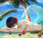  1boy beach black_hair blue_eyes fins flower free! hair_flower hair_ornament hibiscus lying male_focus merman monster_boy nanase_haruka_(free!) on_stomach one_eye_closed open_mouth palm_tree parted_lips petals solo tail tree water 