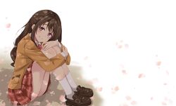  1girl bow bowtie brown_eyes brown_footwear brown_hair brown_jacket cherry_blossoms from_side full_body idolmaster idolmaster_cinderella_girls idolmaster_cinderella_girls_starlight_stage jacket leg_hug loafers long_hair miniskirt omochi_(k-on1991) pleated_skirt red_bow red_skirt school_uniform shimamura_uzuki shirt shoes sitting skirt socks solo white_background white_legwear white_shirt 