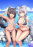  2girls :d animal_ears arm_support arm_up bangs bare_arms bare_shoulders bikini black_bikini black_hair blue_bikini blue_sky blush braid breasts brown_eyes cleavage closed_mouth clouds collarbone commentary_request day eyebrows_visible_through_hair green_eyes hair_between_eyes halter_top halterneck highres horizon irohasu large_breasts multiple_girls navel o-ring o-ring_bikini o-ring_bottom ocean open_mouth original outdoors side_braid silver_hair single_braid sitting sky small_breasts smile soaking_feet swimsuit tail v water wet 